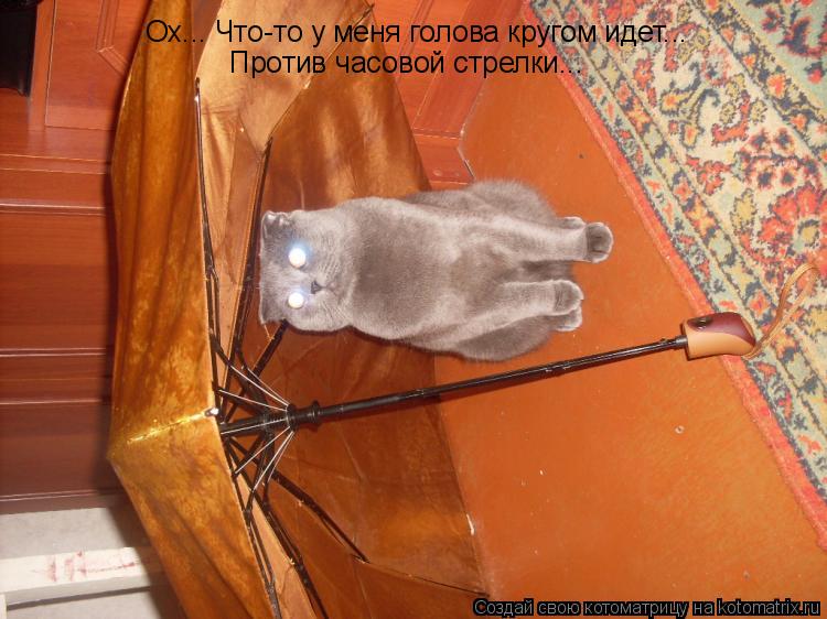 Котоматрица: Ох... Что-то у меня голова кругом идет...  Против часовой стрелки...