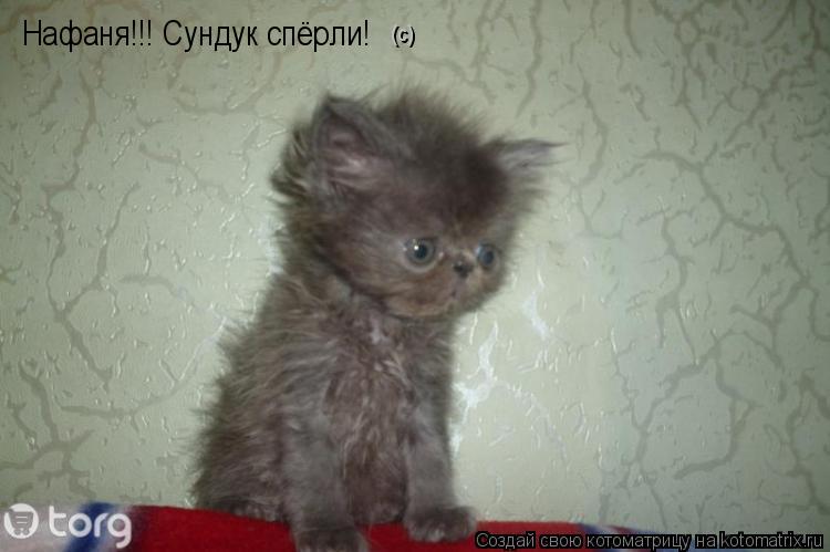 Котоматрица: Нафаня!!! Сундук спёрли!  (с)