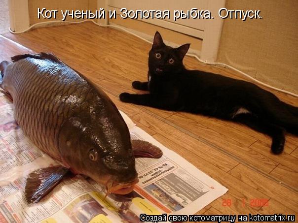 Котоматрица: Кот ученый и Золотая рыбка. Отпуск.