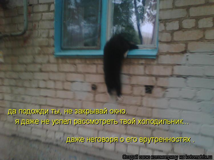 Котоматрица: да подожди ты, не закрывай окно. я даже не успел рассмотреть твой холодильник... даже неговоря о его врутренностях .
