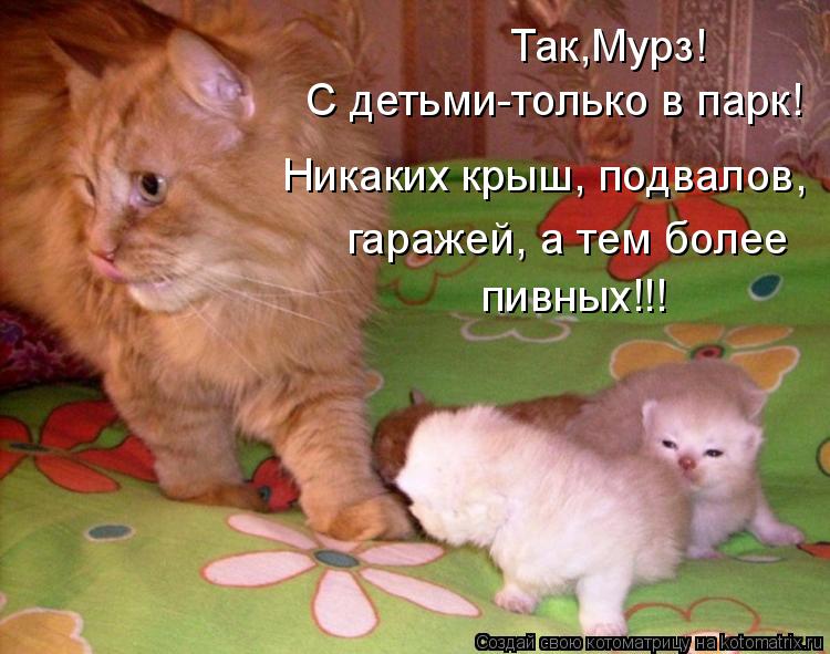 Котоматрица: Так,Мурз! С детьми-только в парк! Никаких крыш, подвалов, гаражей, а тем более пивных!!!