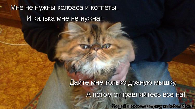 Котоматрица: Мне не нужны колбаса и котлеты, И килька мне не нужна! Дайте мне только драную мышку, А потом отправляйтесь все на!..