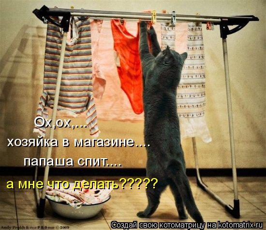 Котоматрица: Ox,ox,... хозяйка в магазине.... папаша спит.... а мне что делать?????