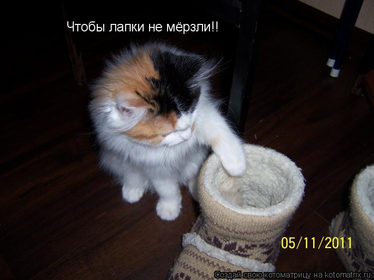 Котоматрица: Чтобы лапки не мёрзли!!