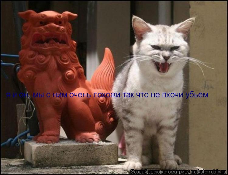 Котоматрица: я и он, мы с ним очень похожи.так что не пхочи убьем