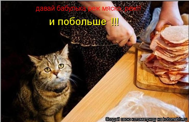 Котоматрица: давай бабулька реж мяско, реж!! и побольше   !!!  !!!