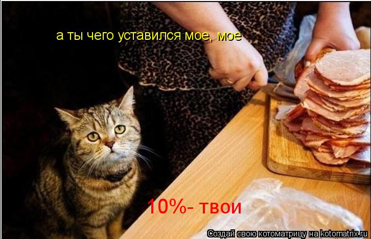 Котоматрица: а ты чего уставился мое, мое а ты чего уставился мое, мое 10%- твoи