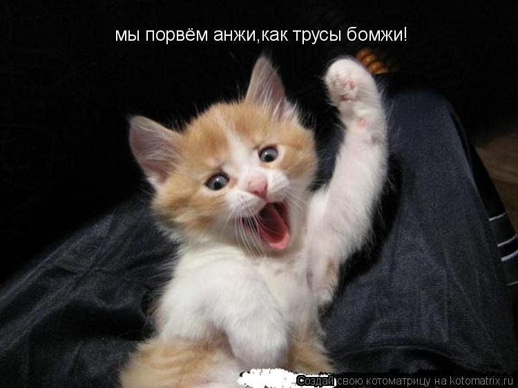 мы порвём анжи,как трусы бомжи!... Котоматрица: мы порвём анжи,как трусы бомжи!
