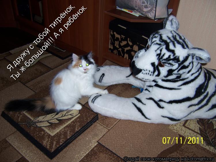 Котоматрица: Я дружу с тобой тигрёнок, Ты ж большой!!! А я ребёнок.