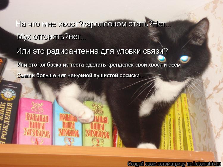 Котоматрица: На что мне хвост?каролсоном стать?Нет... Мух отгонять?нет... Или это радиоантенна для уловки связи? Или это колбаска из теста сделать кренделё