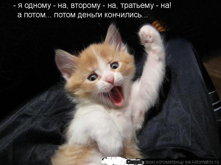 Котоматрица: - я одному - на, второму - на, тратьему - на!  а потом... потом деньги кончились...