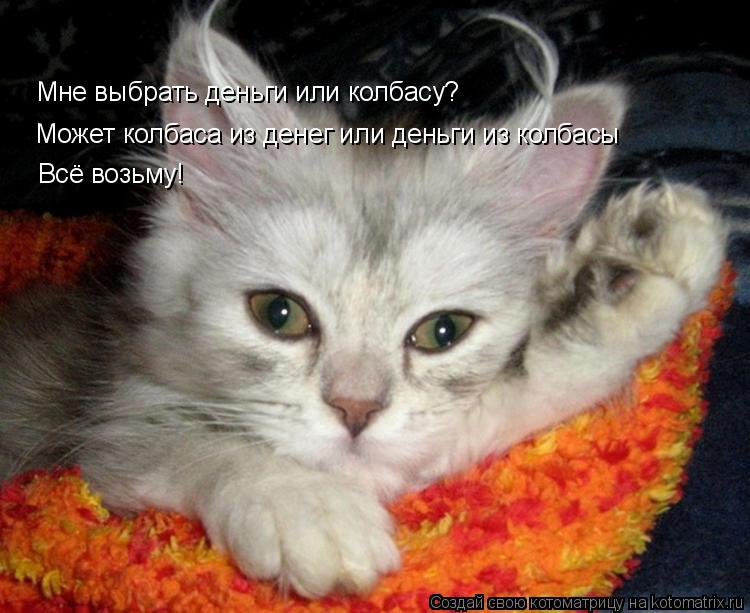 Котоматрица: Мне выбрать деньги или колбасу? Может колбаса из денег или деньги из колбасы Всё возьму!