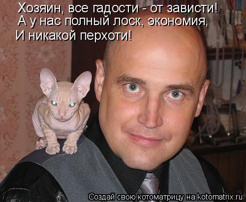 Котоматрица: Хозяин, все гадости - от зависти! А у нас полный лоск, экономия, И никакой перхоти!