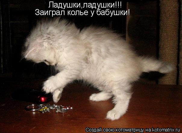 Котоматрица: Ладушки,ладушки!!! Заиграл колье у бабушки!
