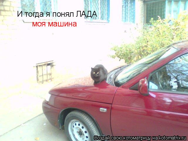 Котоматрица: И тогда я понял ЛАДА моя машина