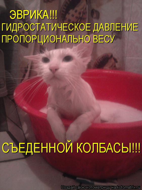Котоматрица: ЭВРИКА!!! ГИДРОСТАТИЧЕСКОЕ ДАВЛЕНИЕ ПРОПОРЦИОНАЛЬНО ВЕСУ СЪЕДЕННОЙ КОЛБАСЫ!!!