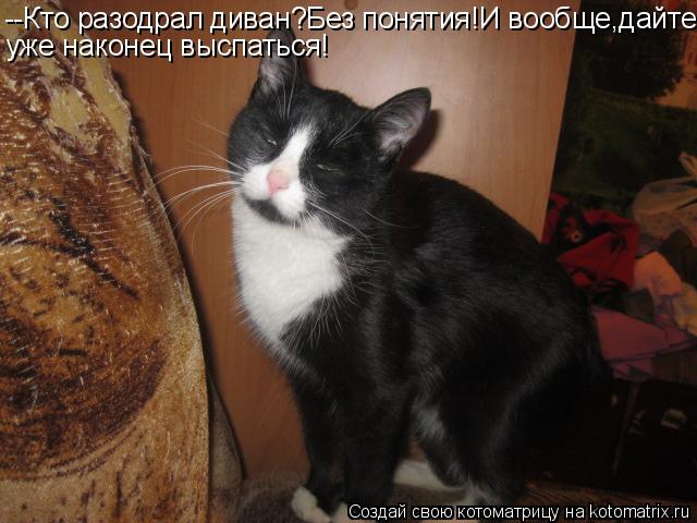 Котоматрица: --Кто разодрал диван?Без понятия!И вообще,дайте уже наконец выспаться!