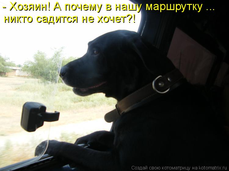 - Хозяин! А почему в нашу маршрутку ... никто садится не хочет?!... Котоматрица: - Хозяин! А почему в нашу маршрутку ... никто садится не хочет?!