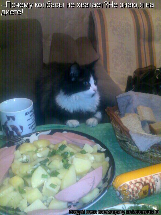 Котоматрица: --Почему колбасы не хватает?Не знаю,я на диете!