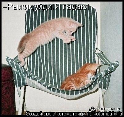 Котоматрица: --Рыжик,уйди!Я падаю!
