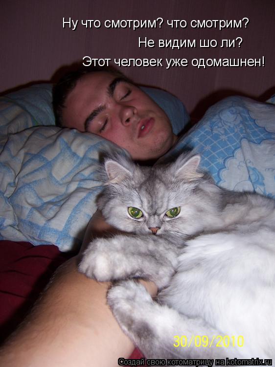 Котоматрица: Ну что смотрим? что смотрим? Не видим шо ли? Этот человек уже одомашнен!