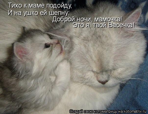 Тихо к маме подойду, И на ушко ей шепну: Доброй ночи, мамочка! Это я, твой Васечка!... Котоматрица: Тихо к маме подойду, И на ушко ей шепну: Доброй ночи, мамочка! Это я, твой Васечка!