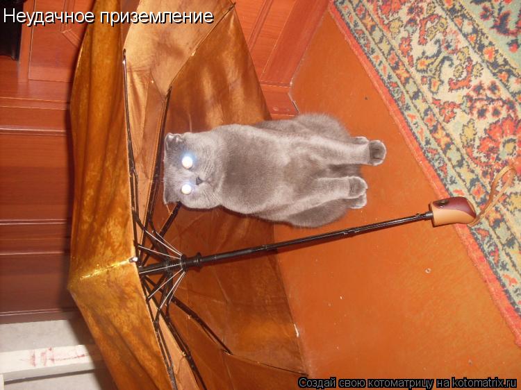 Котоматрица: Неудачное приземление