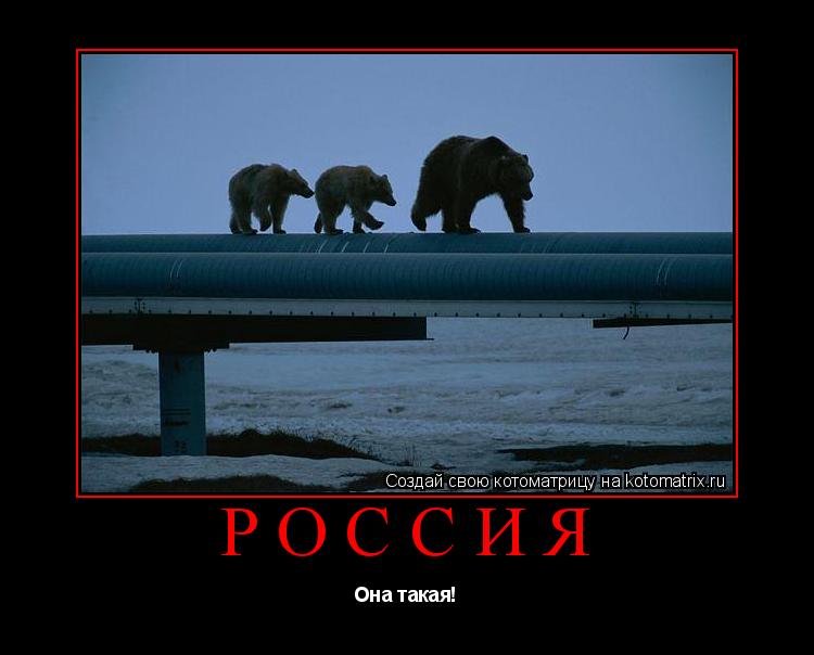 Котоматрица: россия Она такая!