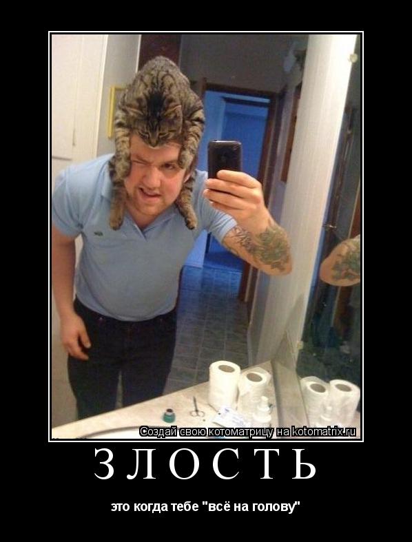Котоматрица: ЗЛОСТЬ это когда тебе "всё на голову"