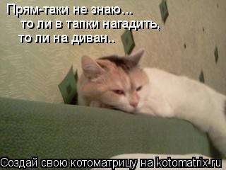 Котоматрица: Прям-таки не знаю... то ли в тапки нагадить, то ли на диван..