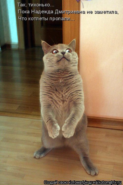Котоматрица: Пока Надежда Дмитриевна не заметила,  Так, тихонько... Что котлеты пропали...