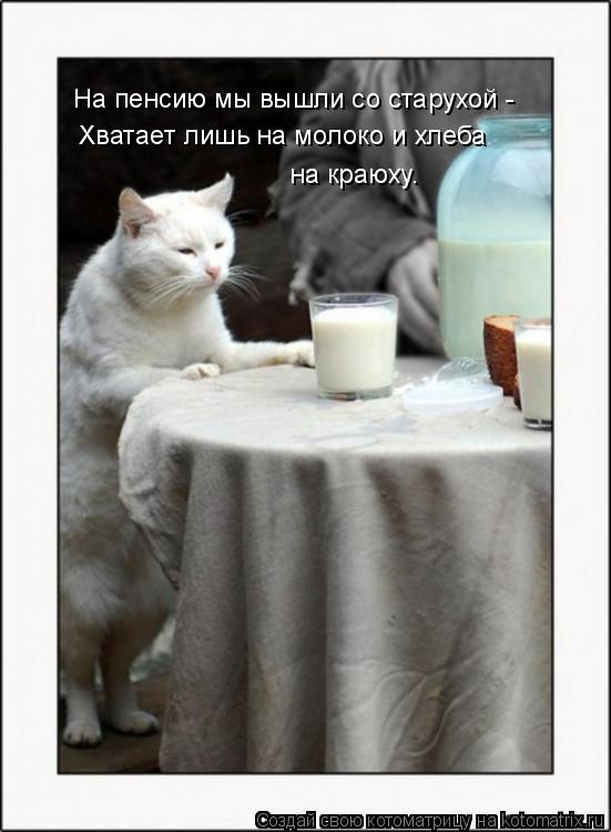 На пенсию мы вышли со старухой - Хватает лишь на молоко и хлеба на краюху.... Котоматрица: На пенсию мы вышли со старухой - Хватает лишь на молоко и хлеба на краюху.