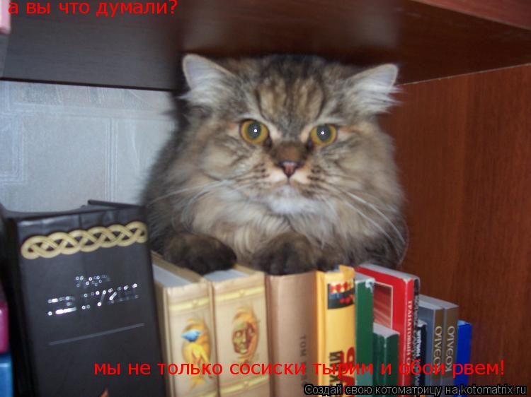 Котоматрица: а вы что думали? мы не только сосиски тырим и обои рвем!