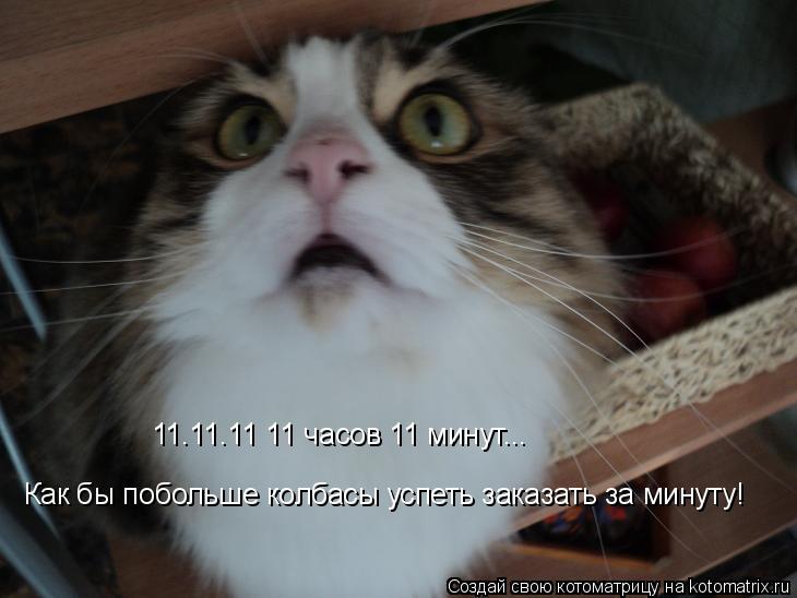 Котоматрица: 11.11.11 11 часов 11 минут... Как бы побольше колбасы успеть заказать за минуту!