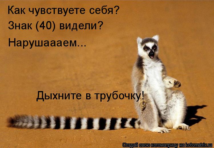 Как чувствуете себя? Знак (40) видели? Нарушаааем... Дыхните в трубочку!... Котоматрица: Как чувствуете себя? Знак (40) видели? Нарушаааем... Дыхните в трубочку!