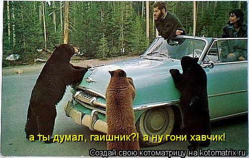 Котоматрица: а ты думал, гаишник?! а ну гони хавчик!