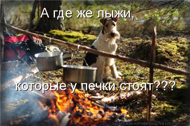 Котоматрица: А где же лыжи, которые у печки стоят???