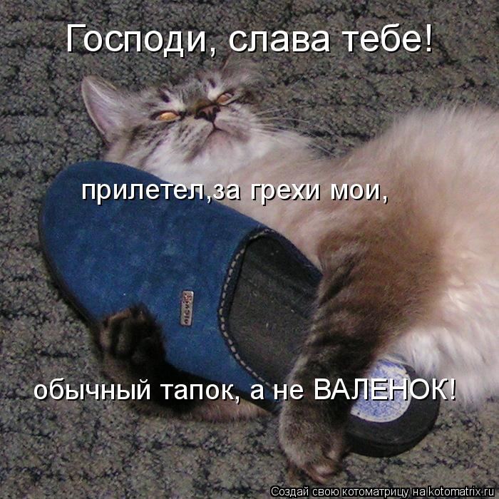 Котоматрица: Господи, слава тебе! прилетел,за грехи мои, обычный тапок, а не ВАЛЕНОК!