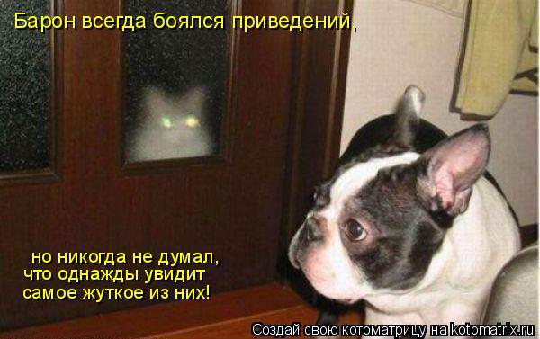 Котоматрица: Барон всегда боялся приведений,  самое жуткое из них! что однажды увидит но никогда не думал,