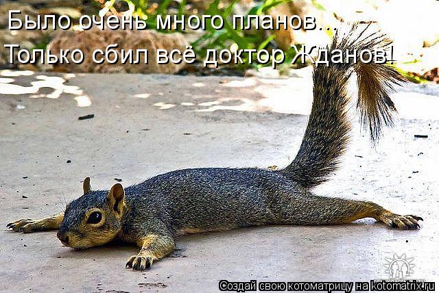 Котоматрица: Было очень много планов... Только сбил всё доктор Жданов!