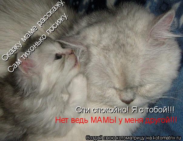 Котоматрица: Сказку маме расскажу, Сам тихонько посижу. Спи спокойно! Я с тобой!!! Нет ведь МАМЫ у меня другой!!!
