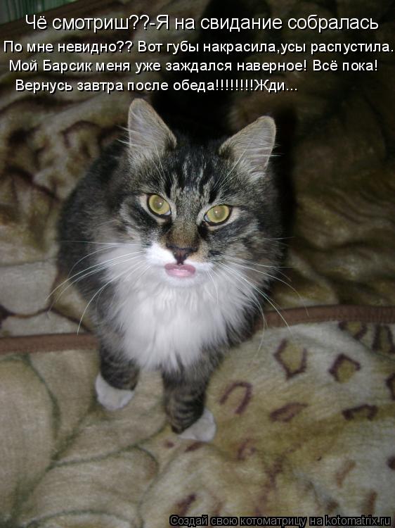 Котоматрица: Чё смотриш??-Я на свидание собралась По мне невидно?? Вот губы накрасила,усы распустила.. Мой Барсик меня уже заждался наверное! Всё пока! Вер