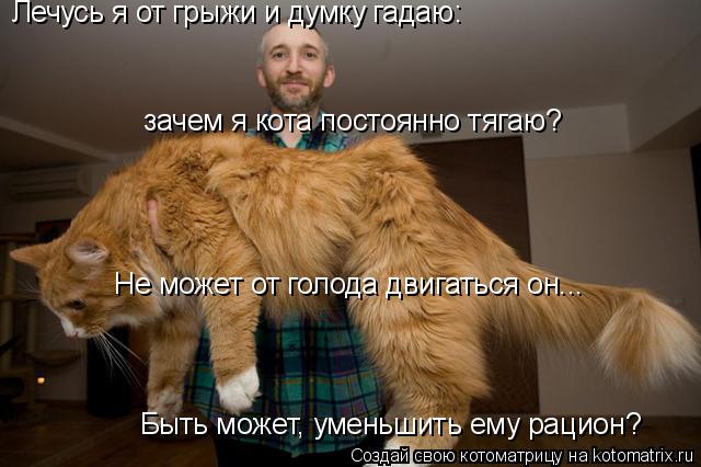 Котоматрица: Лечусь я от грыжи и думку гадаю:  зачем я кота постоянно тягаю?  Быть может, уменьшить ему рацион?  Не может от голода двигаться он...