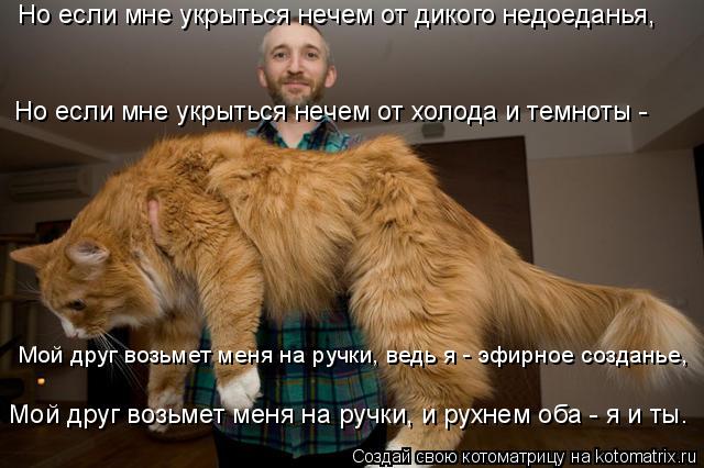 Котоматрица: Но если мне укрыться нечем от дикого недоеданья,  Мой друг возьмет меня на ручки, ведь я - эфирное созданье,  Мой друг возьмет меня на ручки, и 