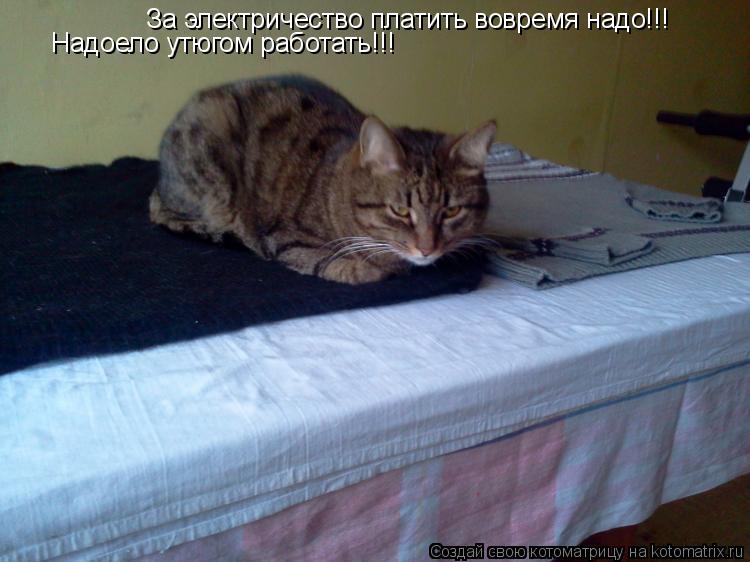 Котоматрица: За электричество платить вовремя надо!!! За электричество платить вовремя надо!!! Надоело утюгом работать!!!