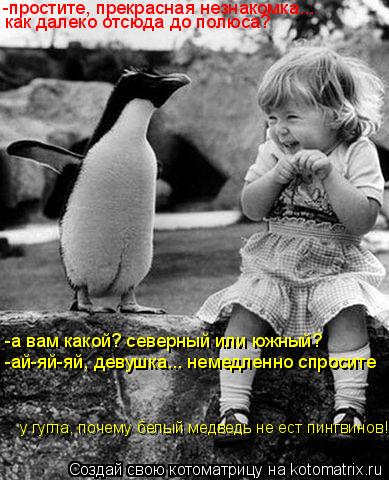 Котоматрица: -простите, прекрасная незнакомка... как далеко отсюда до полюса? -а вам какой? северный или южный? -ай-яй-яй, девушка... немедленно спросите у гу