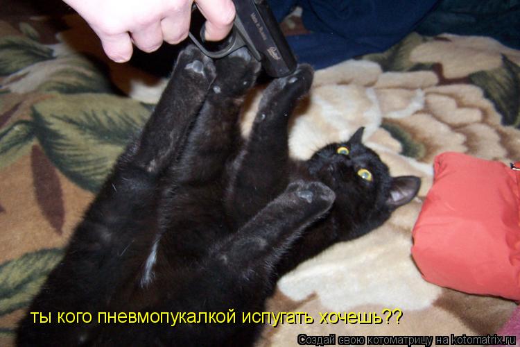 Котоматрица: ты кого пневмопукалкой испугать хочешь??