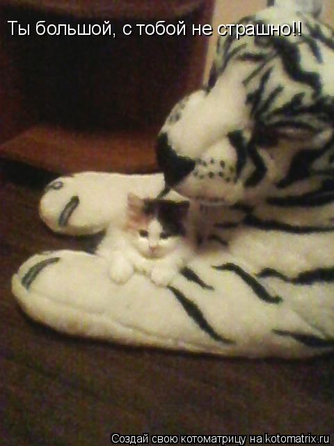 Котоматрица: Ты большой, с тобой не страшно!!