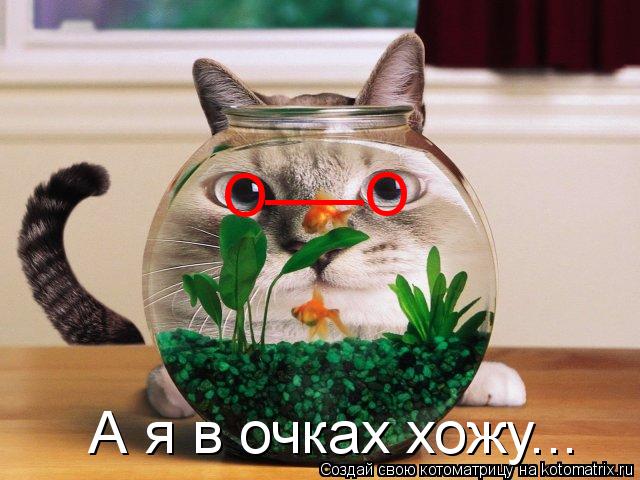 Котоматрица: О О ___ А я в очках хожу...