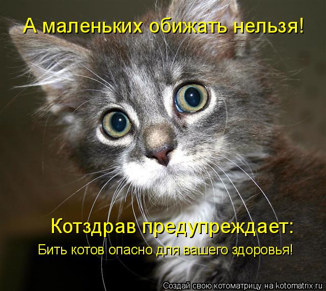 Котоматрица: А маленьких обижать нельзя! Котздрав предупреждает: Бить котов опасно для вашего здоровья!